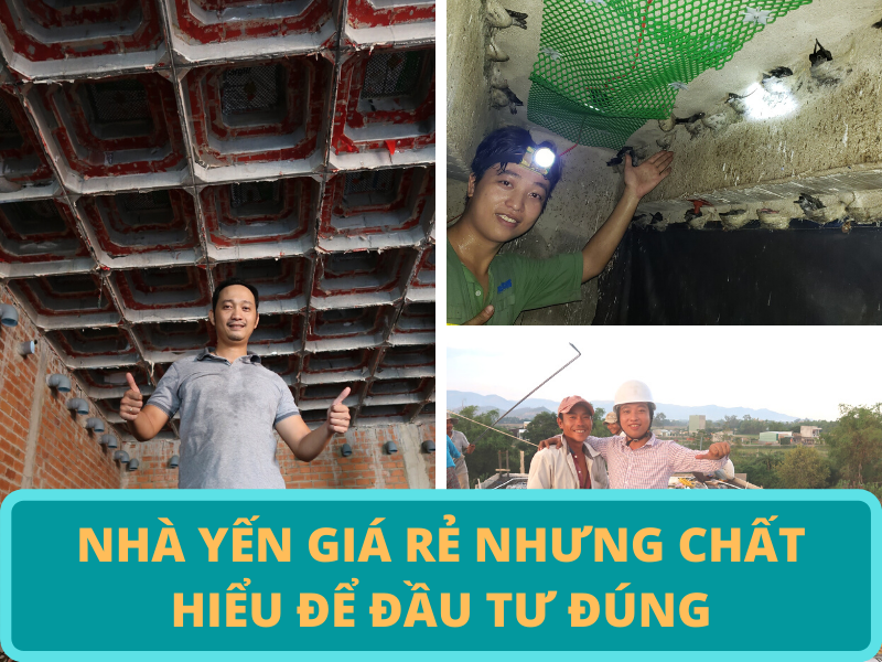 NhÀ YẾn GiÁ RẺ NhƯng ChẤt