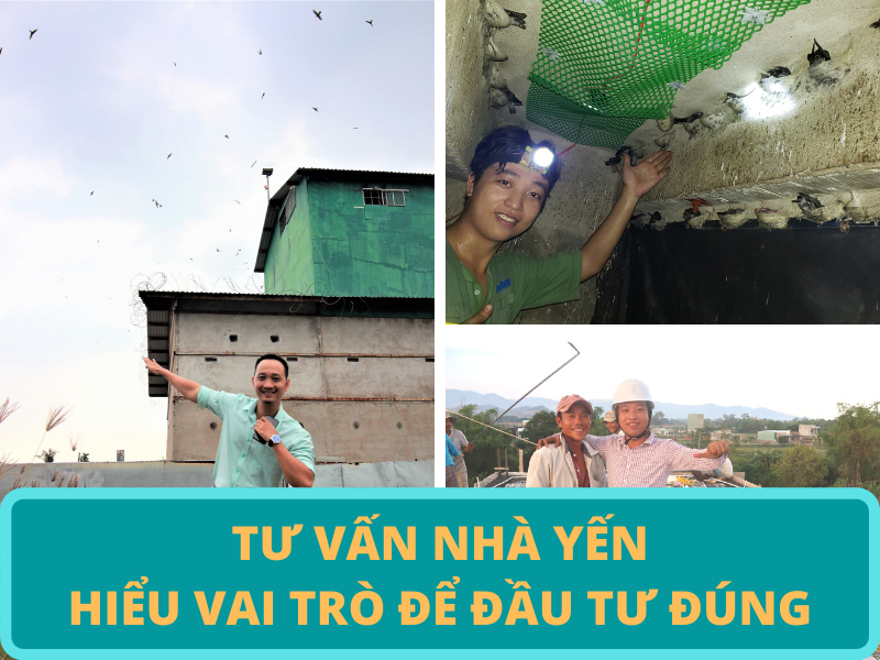 XÂy NhÀ YẾn ĐỪng ĐÙa VỚi LuẬt