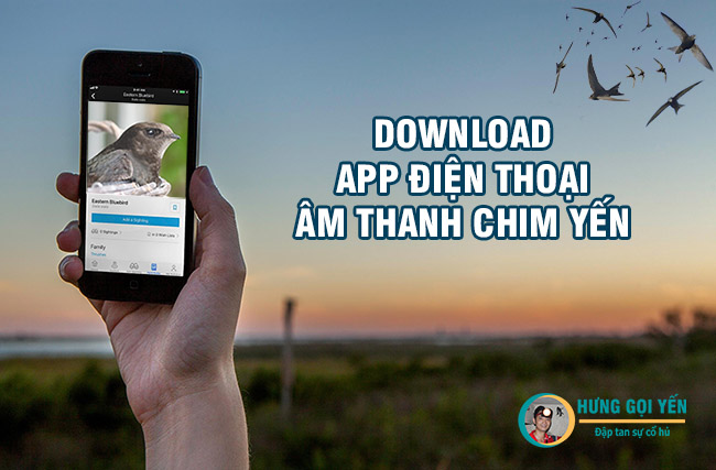 Appamthanhduyen 1