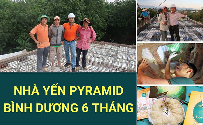 Xây nhà nuôi yến Bình Dương