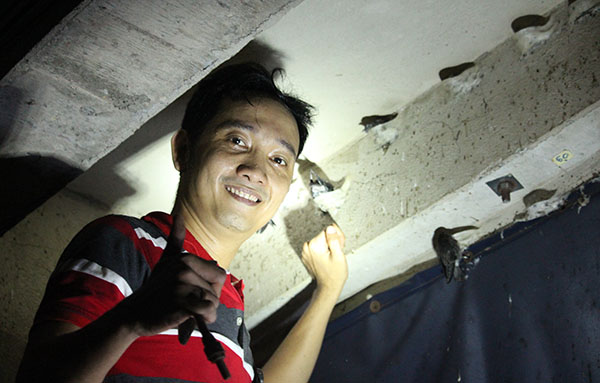 Xây nhà yến bê tông