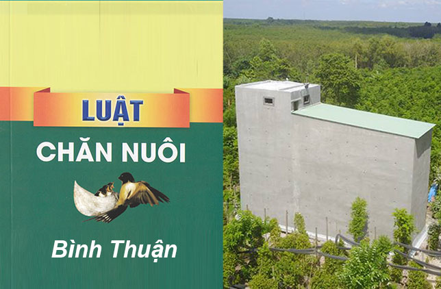 Xaynhayenbinhthuan Phaply