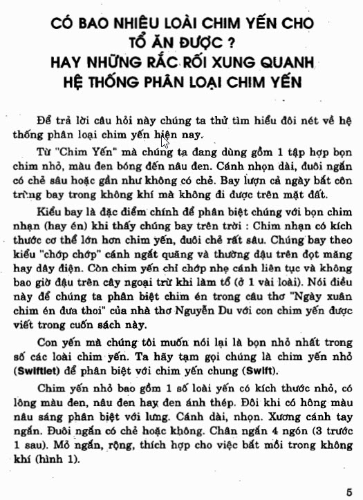 Sách yến sào