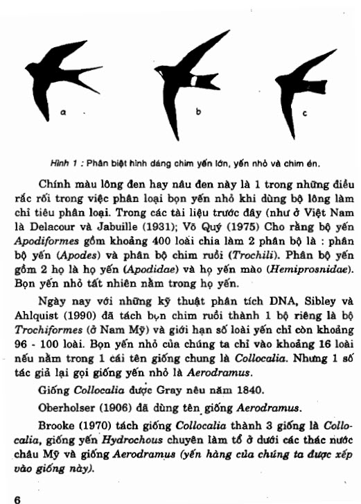 Sách yến sào - hunggoiyen