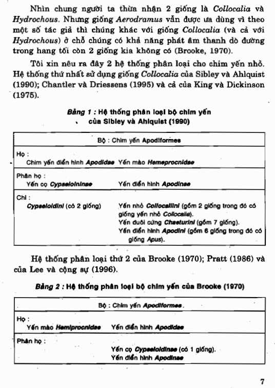 Sách yến sào - hunggoiyen