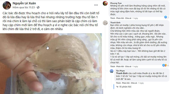 Câu hỏi nghề nuôi yến - Tập 1