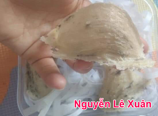 Nguyen Le Xuan - Hỏi đáp nghề nuôi yến