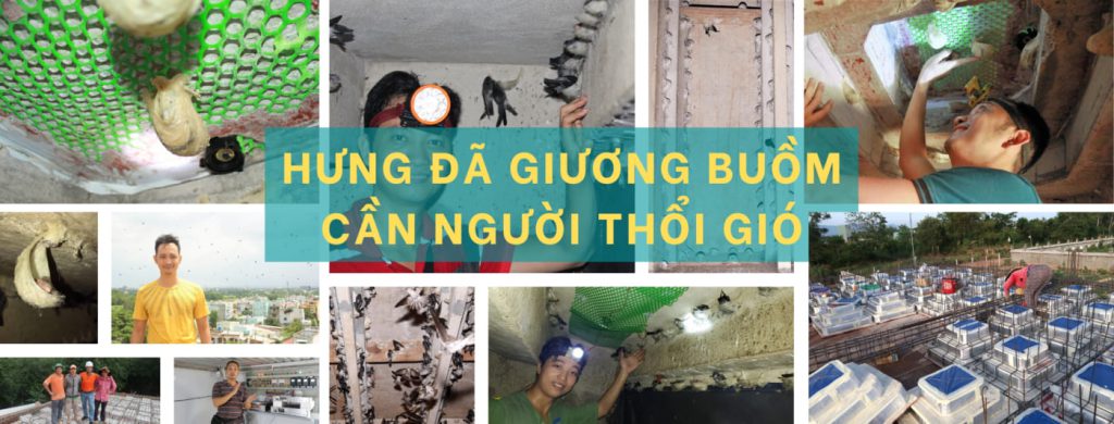 Hưng Gọi Yến