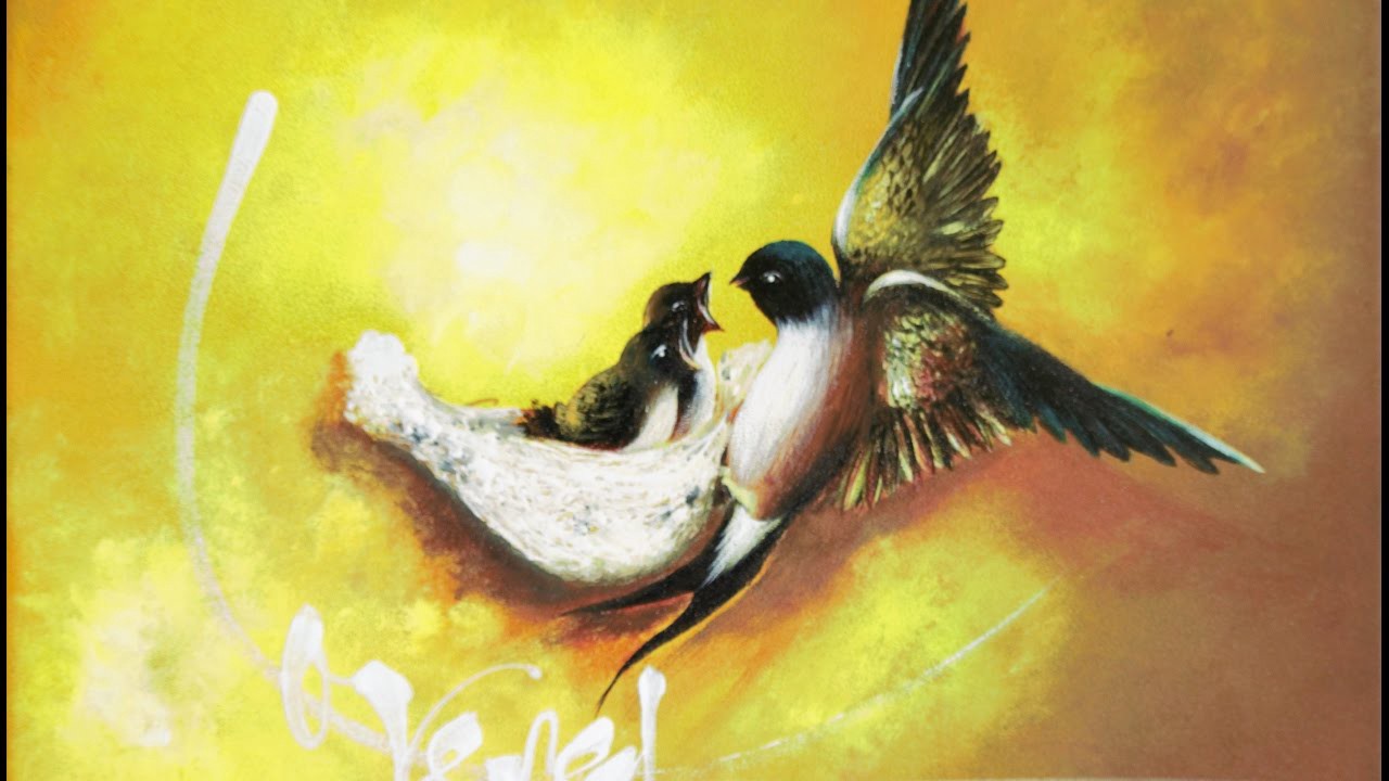 Tâm sự chim yến