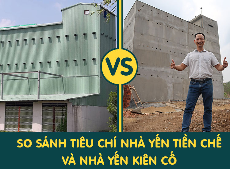 Nha Yen Tien Che Vs Nha Yen Kien Co