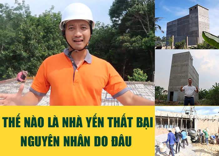 Thế nào là nhà yến thất bại