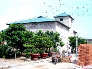 Yen Nuoi Mien Bac 1 2