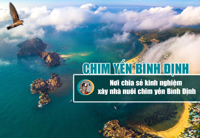 Kinh nghiệm xây nhà gọi yến Bình Định