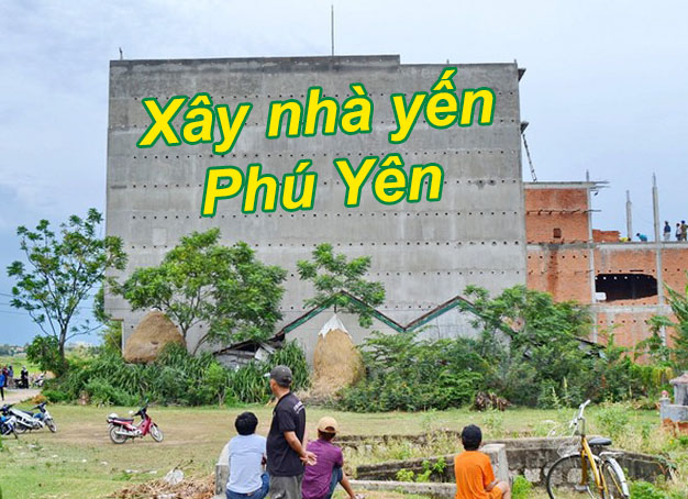 Tư vấn xây nhà yến Phú Yên