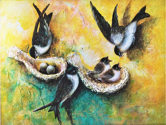 Ảnh chim yến làm tổ chăm sóc chim non