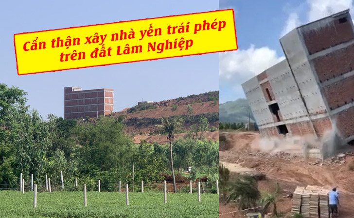 Cẩn thận xây nhà yên trái phép trên đất lâm nghiệp