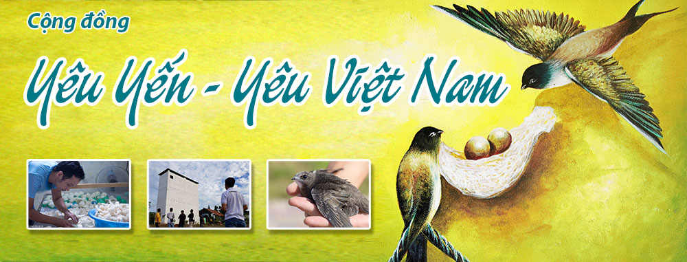 Banner yêu yến yêu việt nam - Cộng đồng yến sào