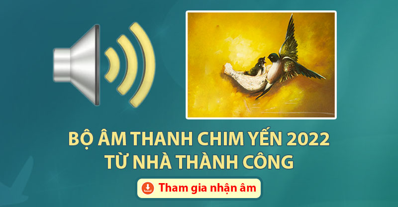 Bộ âm chim yến từ các nhà nuôi yến thành công năm 2022