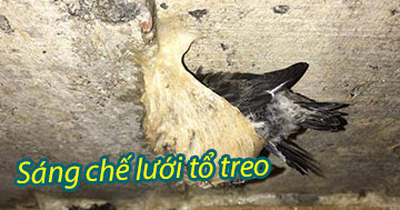 Sáng chế lưới tổ treo