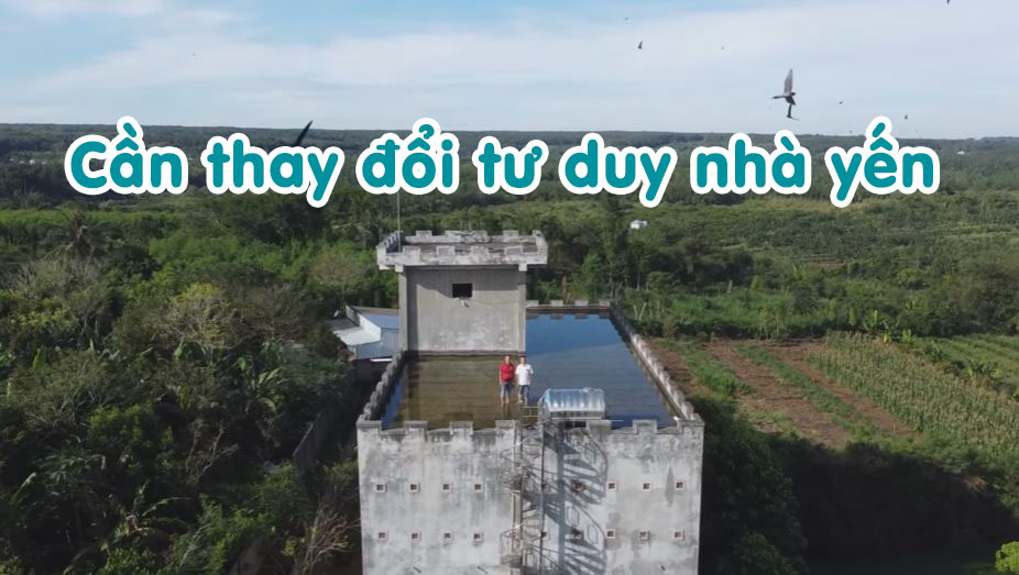 Cần thay đổi tư duy nhà yến